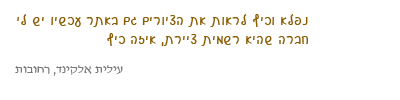 A visitor's written impression of Gabi Solomon's paintings